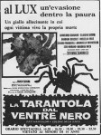 La tarantola dal ventre&nbsp;nero