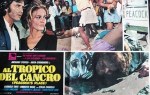 Al tropico del cancro lobby card 2