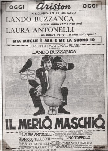 Il merlo maschio flano