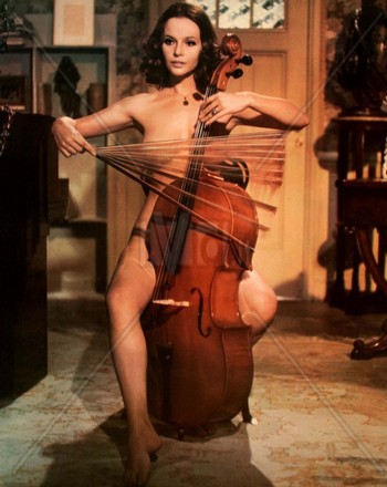 Il merlo maschio foto 4