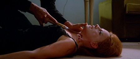 Le foto proibite di una signora perbene 2