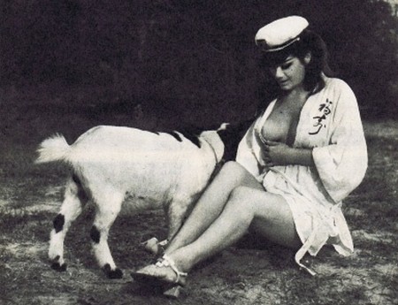 Top sensation foto 11