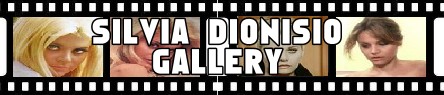 Silvia Dionisio- Banner gallery