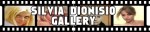Silvia Dionisio- Banner&nbsp;gallery
