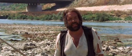 4 mosche di velluto grigio 4