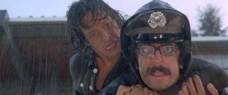 4 mosche di velluto grigio 5