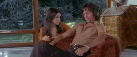 4 mosche di velluto grigio 9