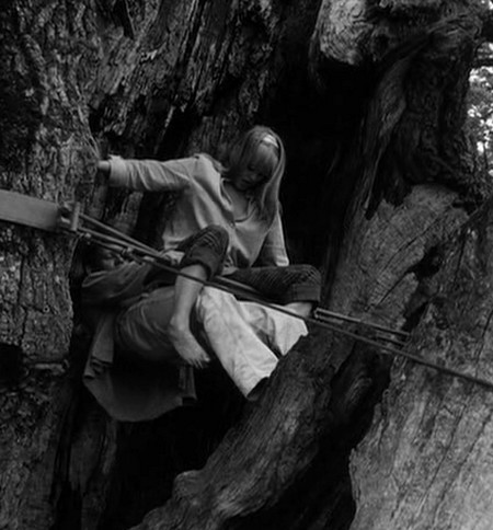 Io sono curiosa foto 2