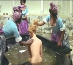 Angelica marchesa degli angeli foto 2