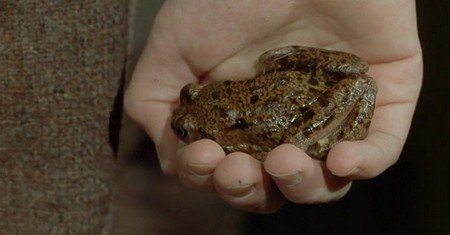 Improvvisamente un uomo nella notte 2