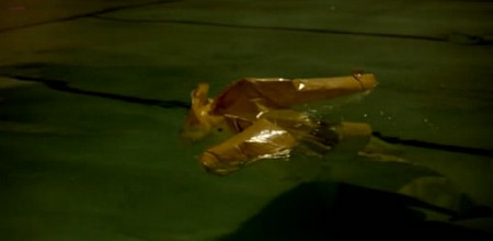 La ragazza del bagno pubblico 15