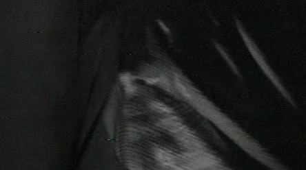 Il segno del comando 5