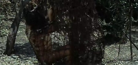 Gungala la vergine della giungla 15