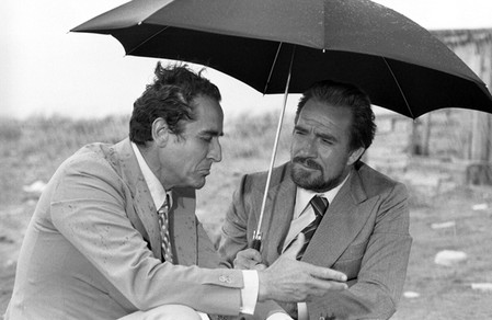 In nome del popolo italiano foto 1