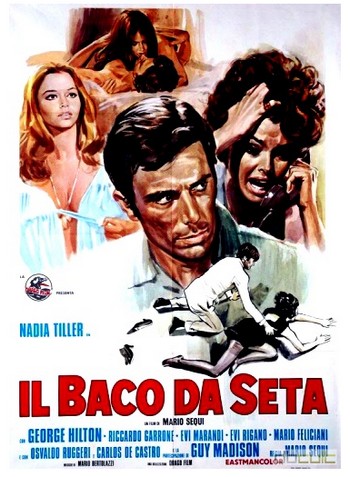 Il baco da seta locandina 1