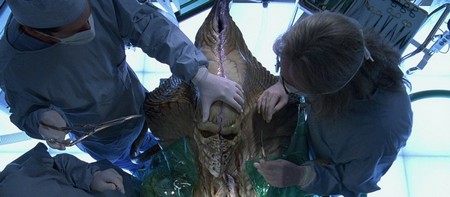 Independence day fot.1