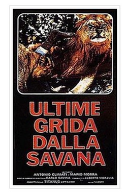 13 Ultime grida dalla savana locandina