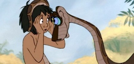 19 Il libro della giungla foto