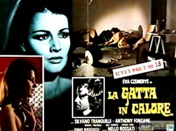 La gatta in calore lobby card 3