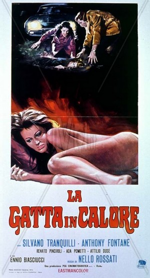 La gatta in calore locandina 1