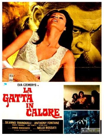 La gatta in calore locandina 4