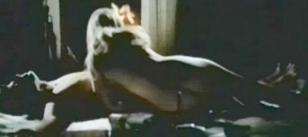 La volpe dalla coda di velluto 15