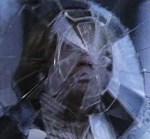 Nero veneziano foto&nbsp;5