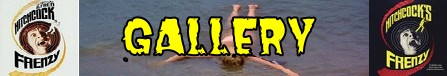 Frenzy banner gallery