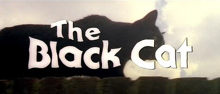 Black cat-Gatto nero 0