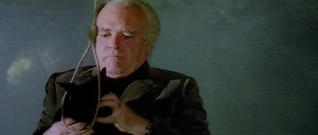 Black cat-Gatto nero 9