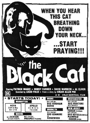 Black cat-Gatto nero flano