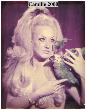 Camille 2000   locandina 2