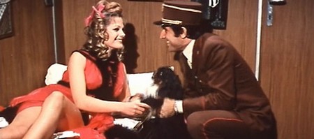 Professione bigamo 13