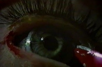 I vizi morbosi di una governante foto 7