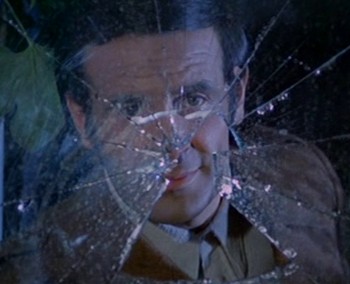 Le foto proibite di una signora perbene foto 2