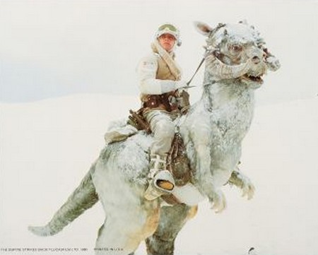 L'impero colpisce ancora foto 10