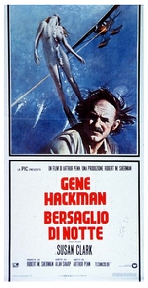 Bersaglio di notte locandina 1