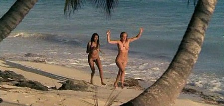 Papaya dei caraibi 6