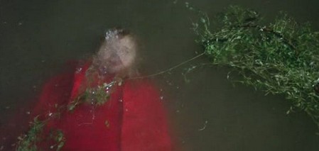 A Venezia un dicembre rosso shocking 8