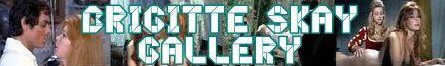 Brigitte Skay banner gallery