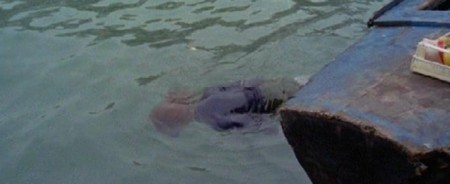 Chi l'ha vista morire 14