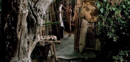 Il signor Robinson 5