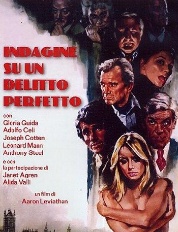 Indagine su un delitto perfetto locandina