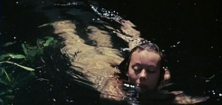 L'inizio del cammino 3