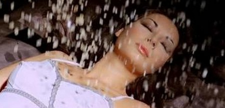 Lo strano vizio della signora Wardh 12