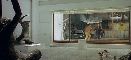 L'uccello dalle piume di cristallo 5