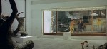 L’uccello dalle piume di cristallo&nbsp;5