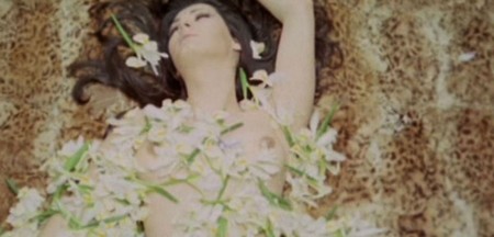 Perchè quelle gocce di sangue 8