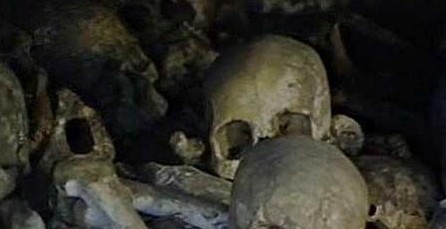 13 Africa dolce e selvaggia