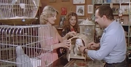 Come perdere una moglie e trovare un amante 12